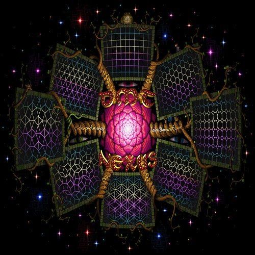 DMT Nexus