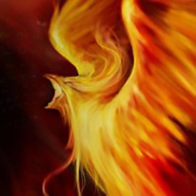 Phoenix is Risen