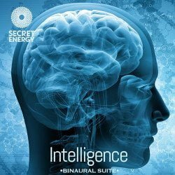 Intelligence_Frequency_Suite 2