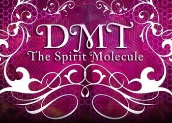 How To Produce DMT Naturally