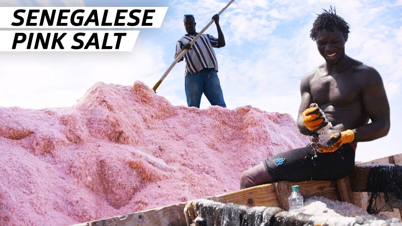 How 60,000 Metric Tons of Salt Are Harvested from One of the World’s Saltiest Lakes  — Handmade