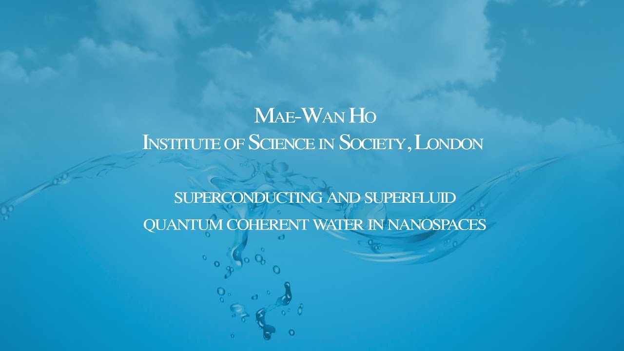 Superconducting and Superfluid Quantum Coherent Water - Mae-Wan Ho