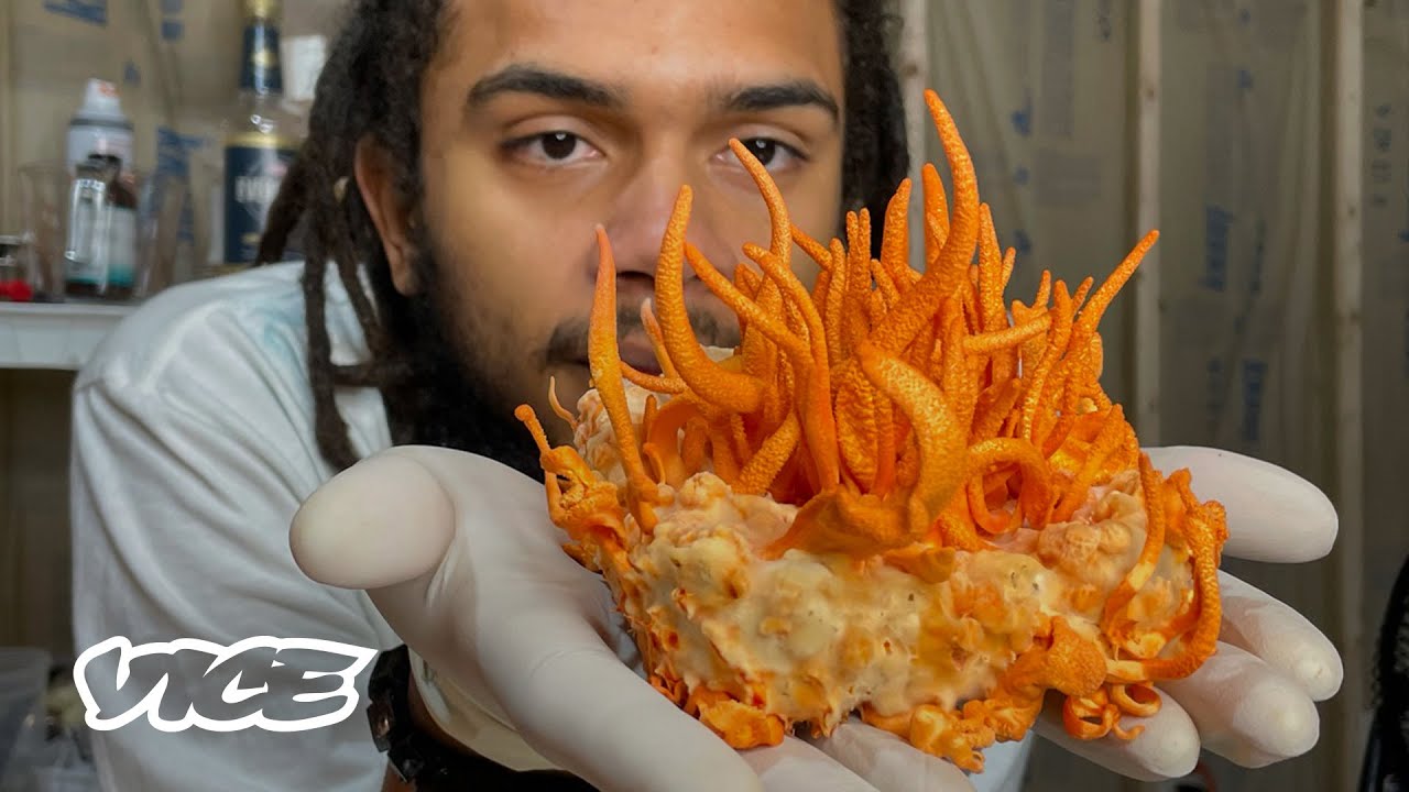This Scientist Grows Rare Edible Mushrooms