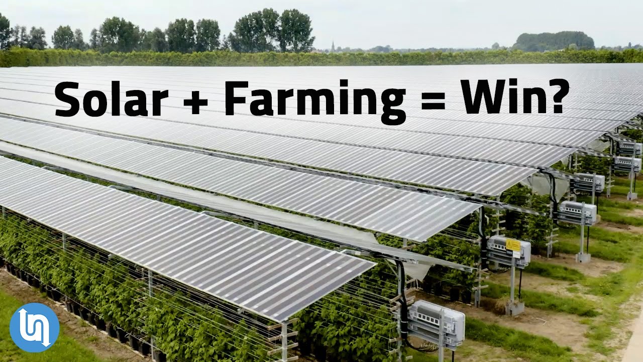 Agrivoltaics - Solar Panels Plus Farming Explained