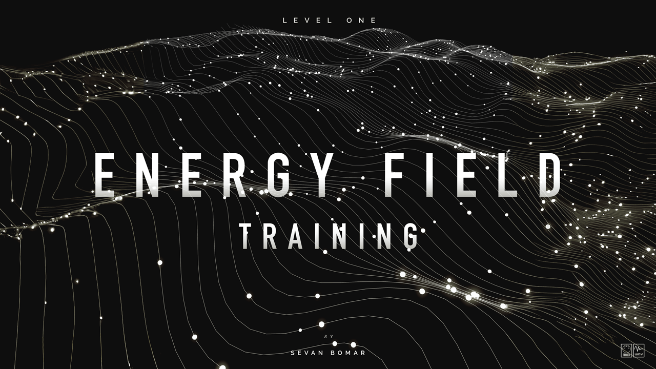 Energy Field Training
